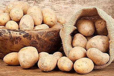 《F1 22》新预告片展示了PC独占VR实机视频