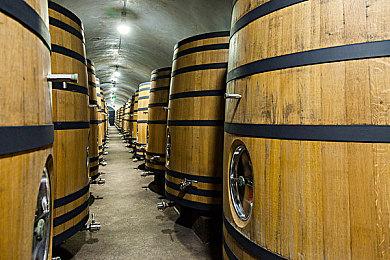 《领主争锋》正式登陆Steam 中世纪回合制策略